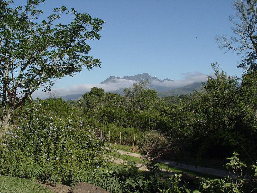 Wilderness Metanoia Villa Bagian luar foto