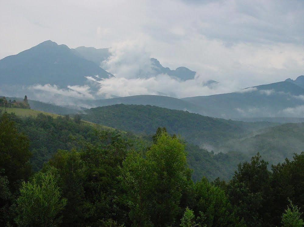 Wilderness Metanoia Villa Bagian luar foto